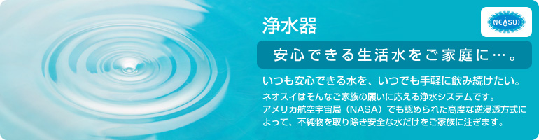 �ͥ�����